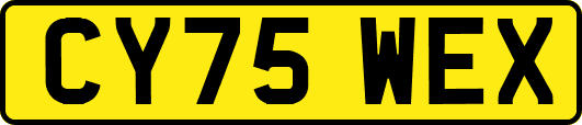 CY75WEX