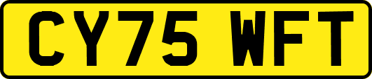 CY75WFT
