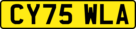 CY75WLA