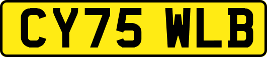 CY75WLB