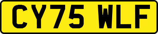 CY75WLF