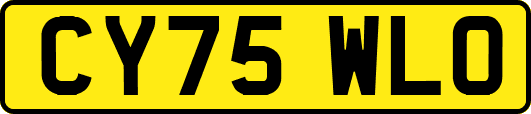 CY75WLO
