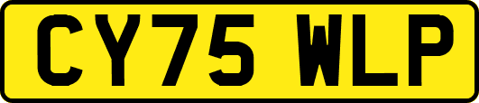 CY75WLP