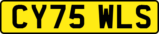 CY75WLS