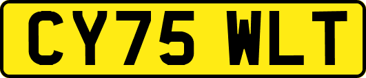 CY75WLT