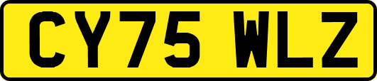 CY75WLZ