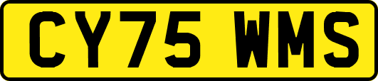CY75WMS