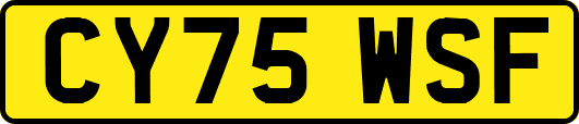 CY75WSF