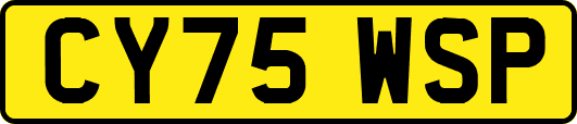 CY75WSP
