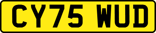 CY75WUD