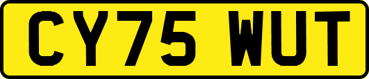 CY75WUT