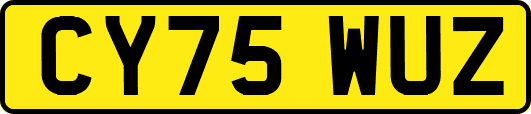 CY75WUZ