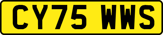 CY75WWS