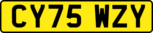 CY75WZY