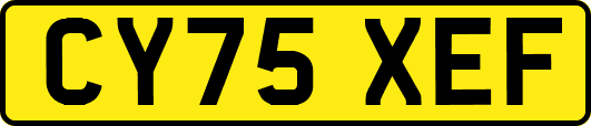 CY75XEF