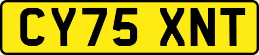 CY75XNT
