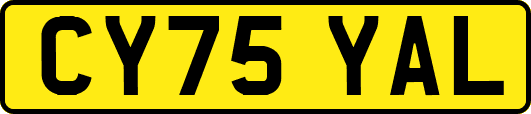 CY75YAL