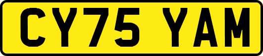 CY75YAM