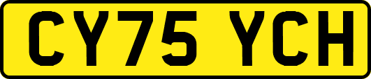 CY75YCH