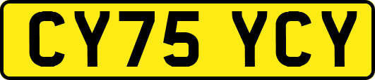 CY75YCY