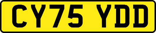 CY75YDD