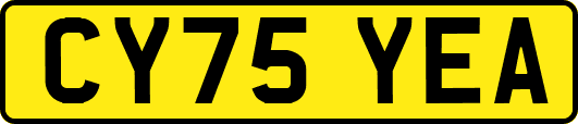 CY75YEA