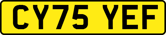 CY75YEF