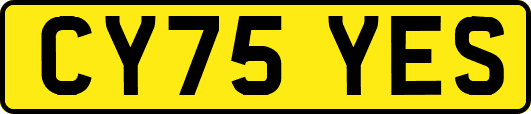CY75YES