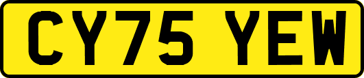 CY75YEW