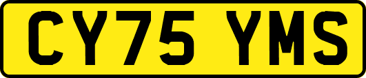 CY75YMS