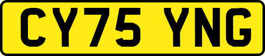 CY75YNG