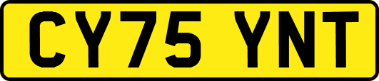 CY75YNT