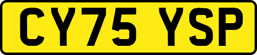 CY75YSP