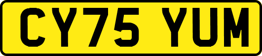 CY75YUM
