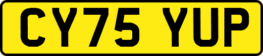 CY75YUP