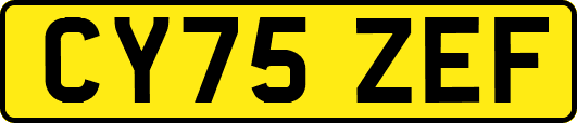CY75ZEF