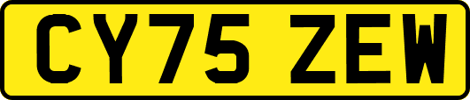 CY75ZEW