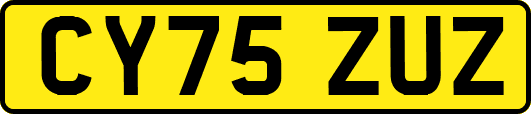 CY75ZUZ