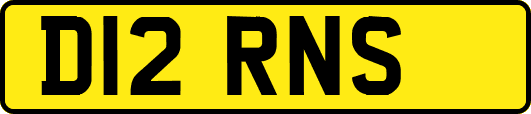 D12RNS