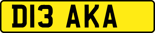 D13AKA