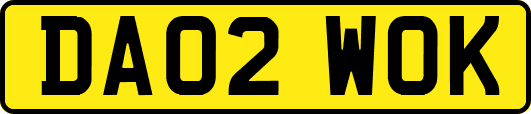 DA02WOK