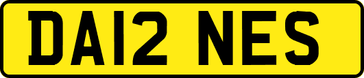 DA12NES