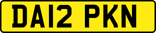 DA12PKN