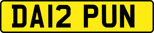DA12PUN