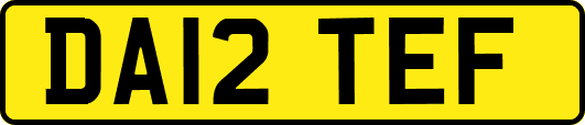 DA12TEF