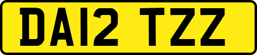 DA12TZZ