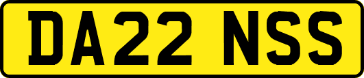 DA22NSS