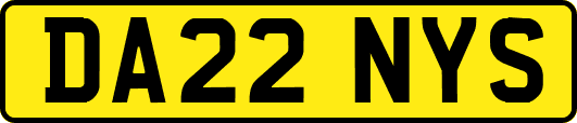 DA22NYS