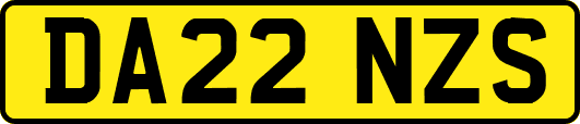 DA22NZS