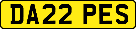 DA22PES